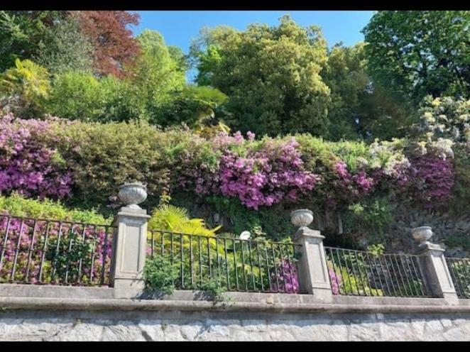 Casa Ilda Villa Orta San Giulio Dış mekan fotoğraf